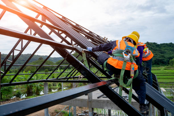 Best Flat Roof Repair Services  in Homer, IL