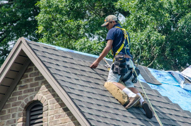 Best Roofing Contractors for Homes  in Homer, IL
